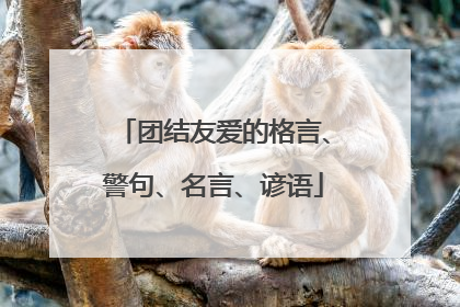 团结友爱的格言、警句、名言、谚语
