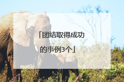 团结取得成功的事例3个
