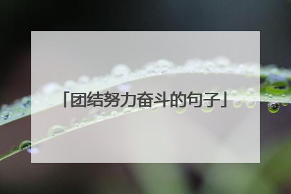 团结努力奋斗的句子