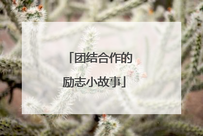 团结合作的励志小故事