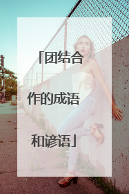团结合作的成语和谚语