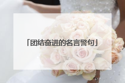 团结奋进的名言警句