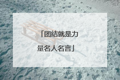 团结就是力量名人名言