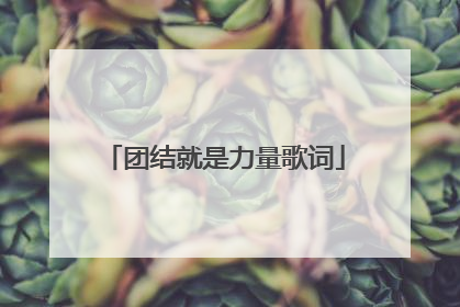 团结就是力量歌词