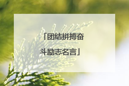 团结拼搏奋斗励志名言