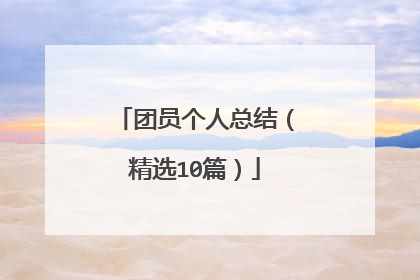 团员个人总结(精选10篇)