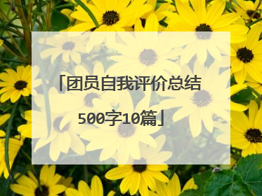 团员自我评价总结500字10篇