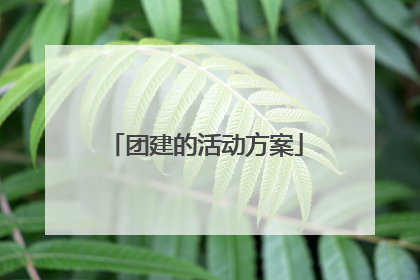 团建的活动方案