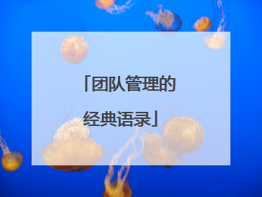 团队管理的经典语录