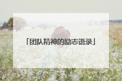 团队精神的励志语录