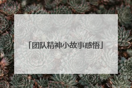 团队精神小故事感悟