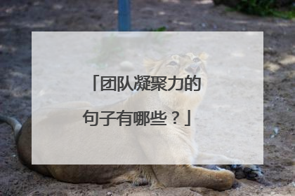 团队凝聚力的句子有哪些？