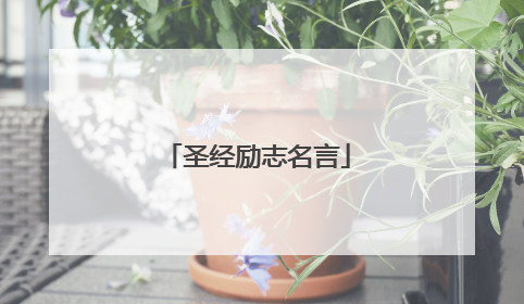 圣经励志名言
