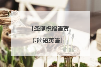 圣诞祝福语贺卡简短英语