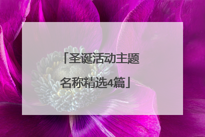 圣诞活动主题名称精选4篇
