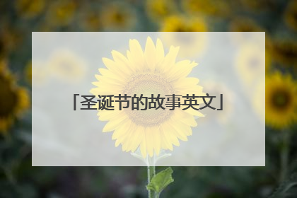 圣诞节的故事英文