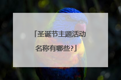 圣诞节主题活动名称有哪些?