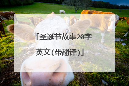 圣诞节故事20字英文(带翻译)