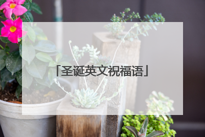 圣诞英文祝福语