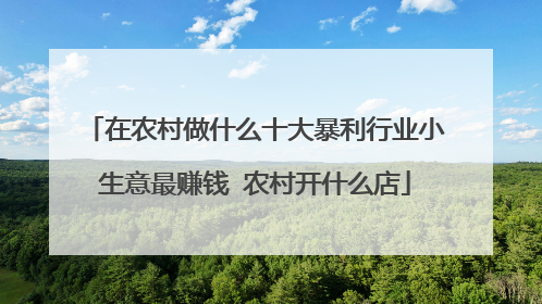 在农村做什么十大暴利行业小生意最赚钱 农村开什么店