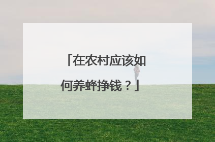 在农村应该如何养蜂挣钱？