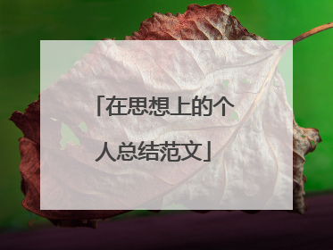 在思想上的个人总结范文