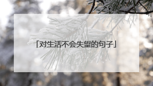对生活不会失望的句子