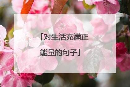 对生活充满正能量的句子