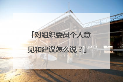 对组织委员个人意见和建议怎么说?