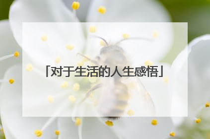 对于生活的人生感悟