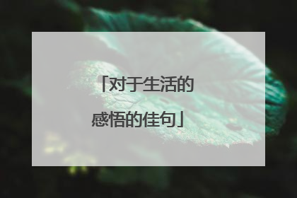 对于生活的感悟的佳句
