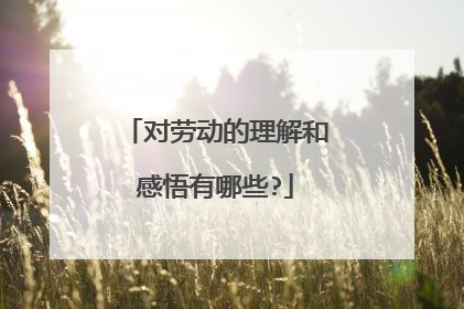 对劳动的理解和感悟有哪些?