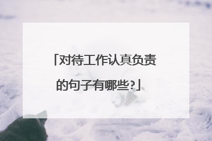 对待工作认真负责的句子有哪些?