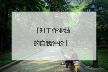 对工作业绩的自我评价