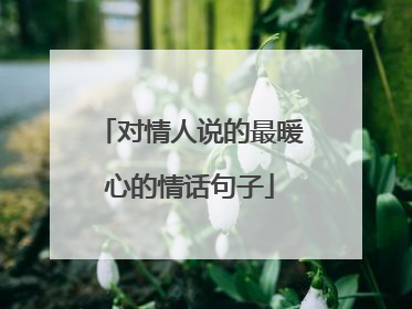 对情人说的最暖心的情话句子