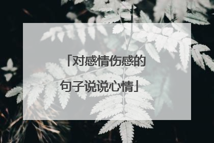 对感情伤感的句子说说心情