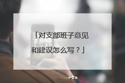 对支部班子意见和建议怎么写?
