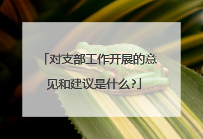 对支部工作开展的意见和建议是什么?