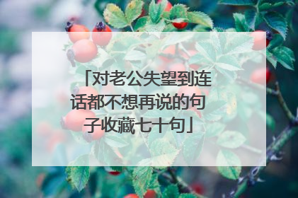 对老公失望到连话都不想再说的句子收藏七十句