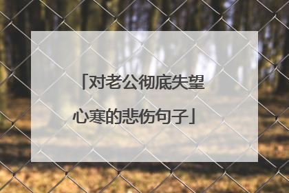 对老公彻底失望心寒的悲伤句子