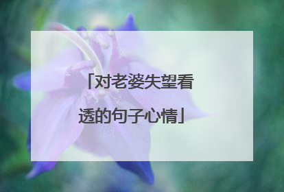 对老婆失望看透的句子心情