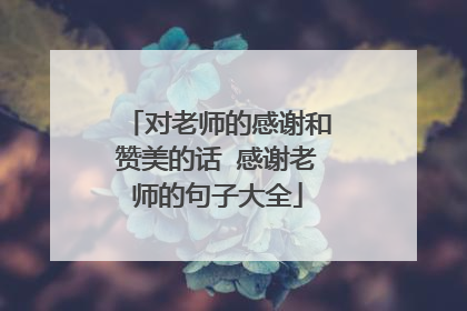 对老师的感谢和赞美的话 感谢老师的句子大全