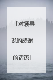 对领导说的感谢的话语