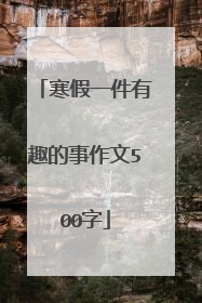 寒假一件有趣的事作文500字