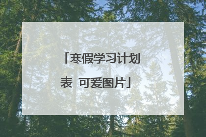 寒假学习计划表 可爱图片