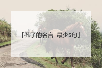 孔子的名言 最少5句