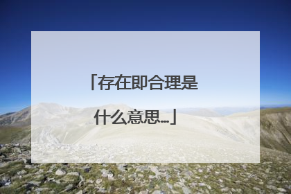 存在即合理是什么意思…