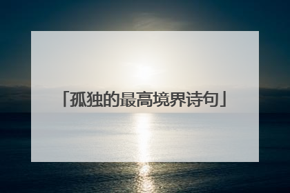 孤独的最高境界诗句