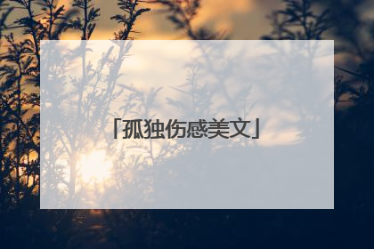 孤独伤感美文