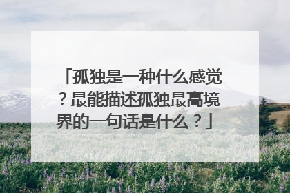 孤独是一种什么感觉?最能描述孤独最高境界的一句话是什么?